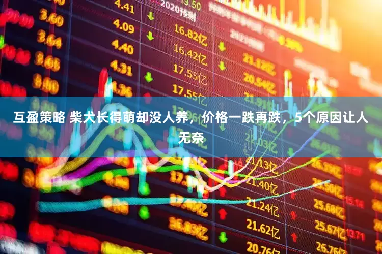 互盈策略 柴犬长得萌却没人养，价格一跌再跌，5个原因让人无奈