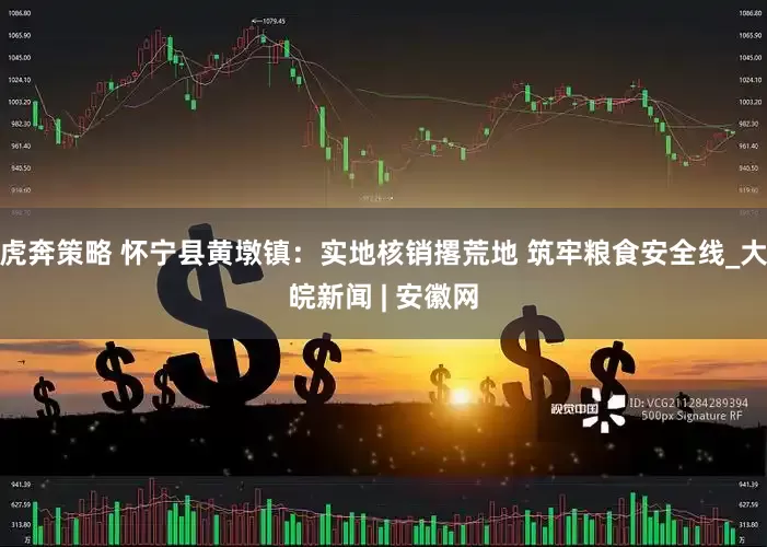虎奔策略 怀宁县黄墩镇：实地核销撂荒地 筑牢粮食安全线_大皖新闻 | 安徽网