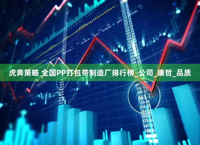 虎奔策略 全国PP打包带制造厂排行榜_公司_康哲_品质