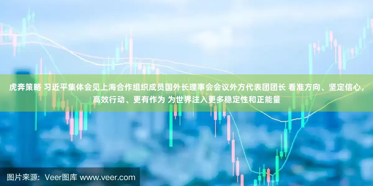 虎奔策略 习近平集体会见上海合作组织成员国外长理事会会议外方代表团团长 看准方向、坚定信心，高效行动、更有作为 为世界注入更多稳定性和正能量