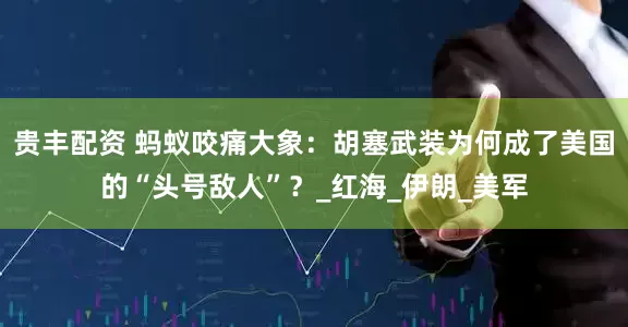 贵丰配资 蚂蚁咬痛大象：胡塞武装为何成了美国的“头号敌人”？_红海_伊朗_美军