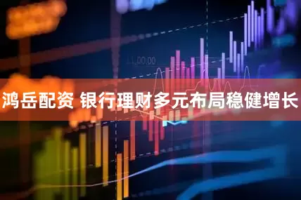 鸿岳配资 银行理财多元布局稳健增长